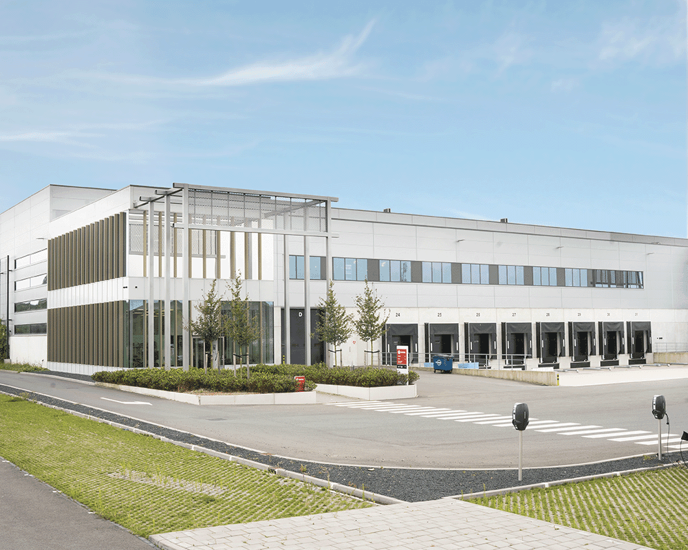 the bay brouwerij frontaal brewery company